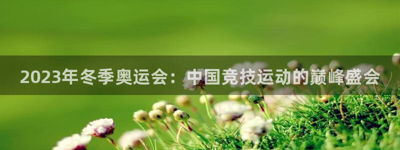 JJB竞技宝官网下载平台APP