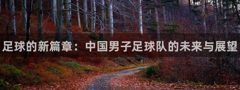 JJB竞技宝官方正版app科技：足球的新篇章：中国男