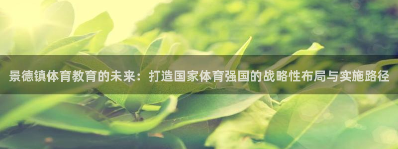 JJB竞技宝官方平台体育：景德镇体育教育的未来：打造