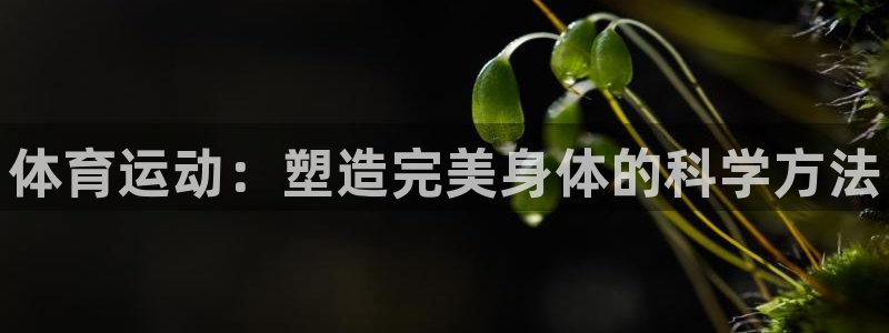JJB竞技宝官网下载平台假的吗是真的吗：体育运动：塑