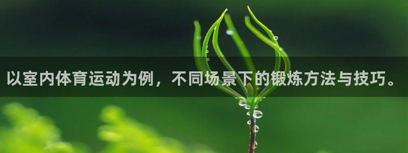 JJB竞技宝官方正版app娱乐代理怎么样：以室内体育运动为例