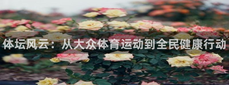 JJB竞技宝官网下载招商：体坛风云：从大众体育运动到