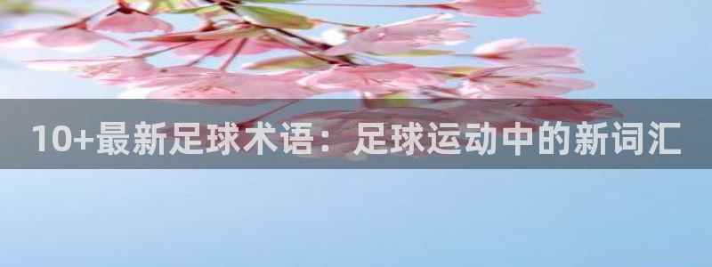 JJB竞技宝官网下载注册：10+最新足球术语：足球运
