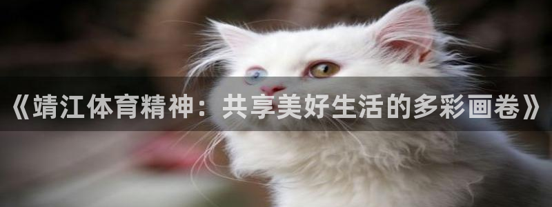 JJB竞技宝官方正版app代理：《靖江体育精神：共享美好生活
