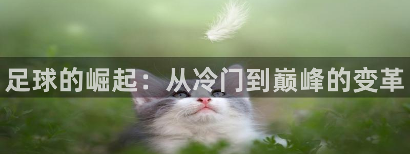 JJB竞技宝官方正版app集团logo：足球的崛起：