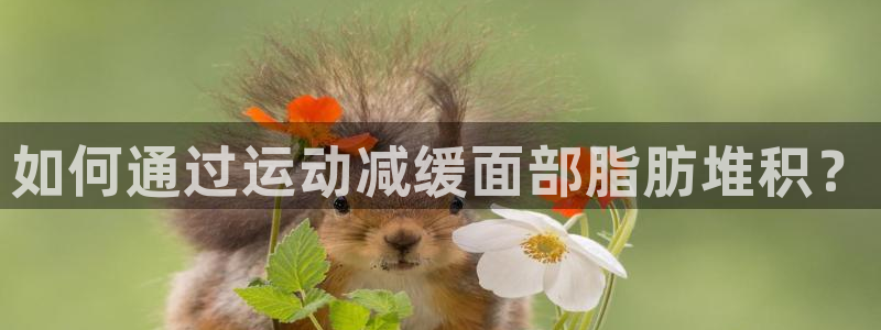 JJB竞技宝官网下载平台是正规平台吗安全吗：如何通过