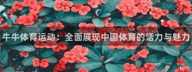 JJB竞技宝官网下载招商：牛牛体育运动：全面展现中国体育的活
