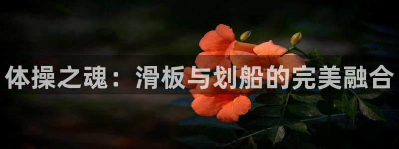 JJB竞技宝官方正版app官方