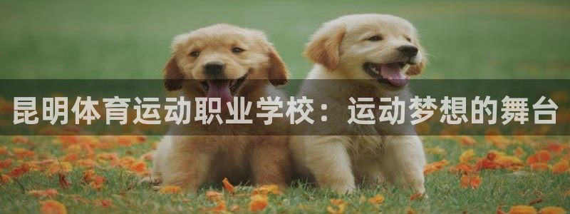 JJB竞技宝官方正版app开户：昆明体育运动职业学校