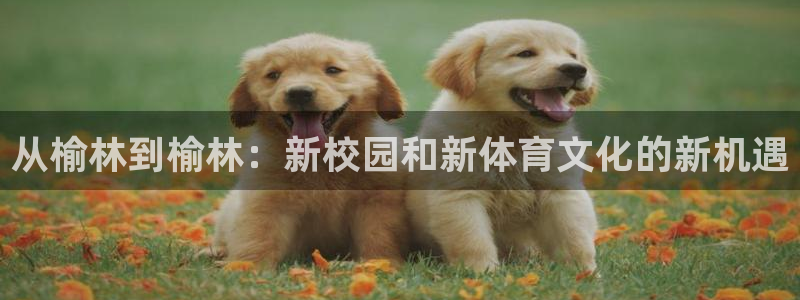 注册JJB竞技宝官方正版app：从榆林到榆林：新校园