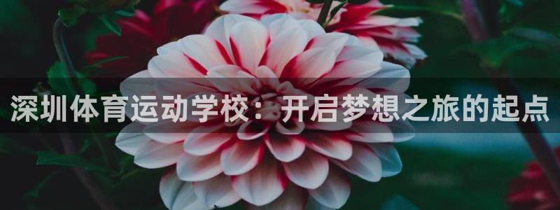 JJB竞技宝官网下载平台：深圳体育运动学校：开启梦想