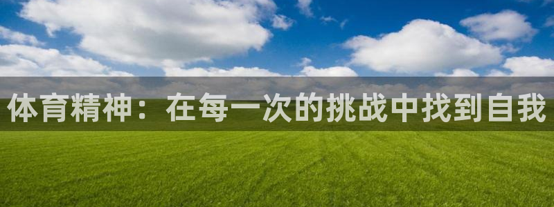 JJB竞技宝官方正版app新能源：体育精神：在每一次的挑战中