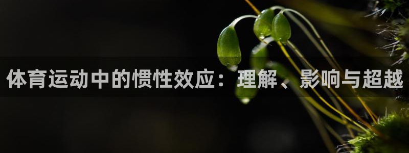 JJB竞技宝官网下载平台：体育运动中的惯性效应：理解、影响与