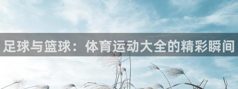 JJB竞技宝官网下载招商电话号码是多少号