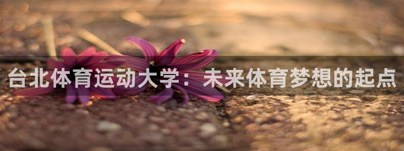 JJB竞技宝官方正版app五金厂：台北体育运动大学：未来体育