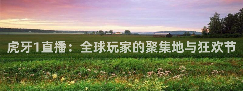 下载松鼠电视直播：虎牙1直播：全球玩家的聚集地与狂欢节