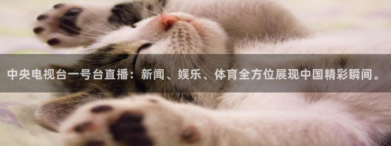 松鼠体育下载：中央电视台一号台直播：新闻、娱乐、体育全方位展现中国精彩瞬间。