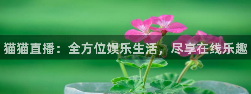 松鼠体育在线直播下载：猫猫直播：全方位娱乐生活，尽享在线乐趣