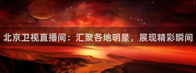 松鼠宝贝体育