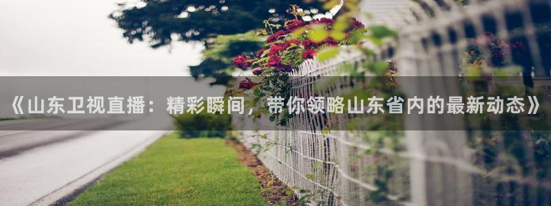 松鼠休闲游戏官网：《山东卫视直播：精彩瞬间，带你领略山东省内的最新动态》