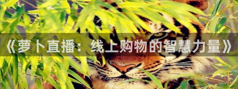 松鼠直播体育：《萝卜直播：线上购物的智慧力量》