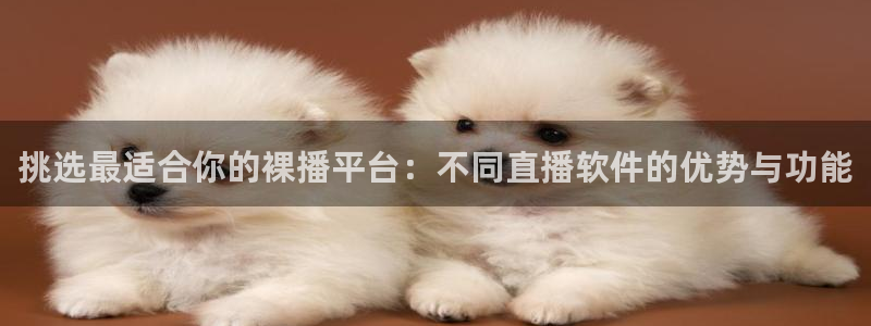 松鼠客户端：挑选最适合你的裸播平台：不同直播软件的优势与功能