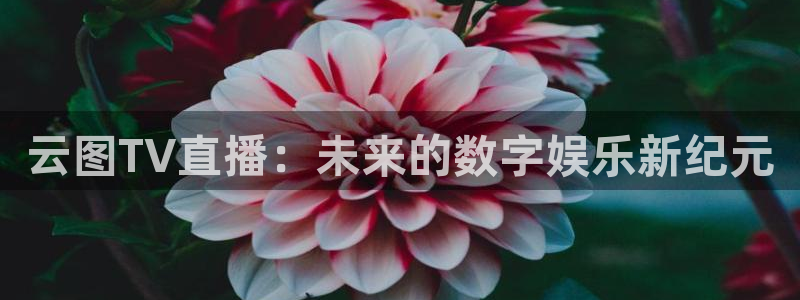 松鼠体育下载：云图TV直播：未来的数字娱乐新纪元